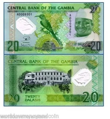 GAMBIA 20 DALASI New 2014-2015 x 1 Pcs Polymer Commemorative BEE BIRD UNC NOTE - Image 1 of 3