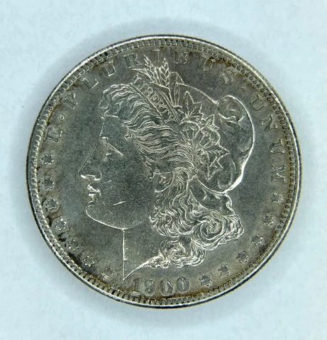 1900 S Morgan Dollar Silver AU - BU Toned Cover