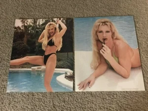 Vintage WWF SABLE Photo Pinup Lot 1990s #6 DIVA WWE RENA MERO LESNAR - Picture 1 of 1