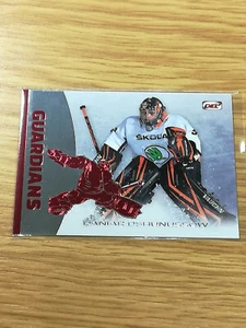 DEL 12/13 Guardians Daniar Dshunussow Grizzlys Wolfsburg Kölner Haie - Bild 1 von 2