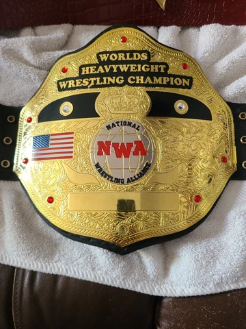 World Heavyweight ECW FTW Wrestling Champion Replica Leather Belt Fast Shipping Cover