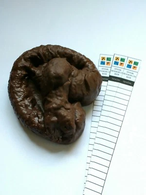 Fake Dog Poop Micro Geocaching Cache Container - Image 1 of 2