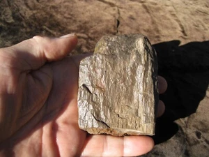 VERSTEINERTE HOLZPLATTE, Kristall SELTEN Mineral 3 1/2 x 2 1/2 x 1" 7,1 Unzen 202 g. - Bild 1 von 4