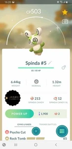 Shiny Spinda #5 Pokèmon Go, registrato o ultra amico - Foto 1 di 1