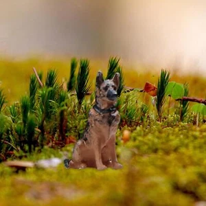 1:64 Scale Tiny Dog Miniature Scenes Fairy Garden Sand Table - Picture 1 of 5