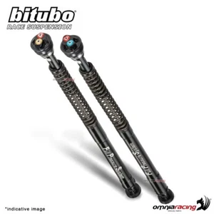 Adjustable EBH0 pressurized Bitubo cartridge Kawasaki ZX10R 2011-2015 - Picture 1 of 4