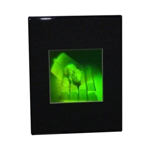 Mouse 3D Multicanal Holograma Imagen SOPORTE DE ESCRITORIO, Película de Fotopolímero Polaroid - Imagen 1 de 7