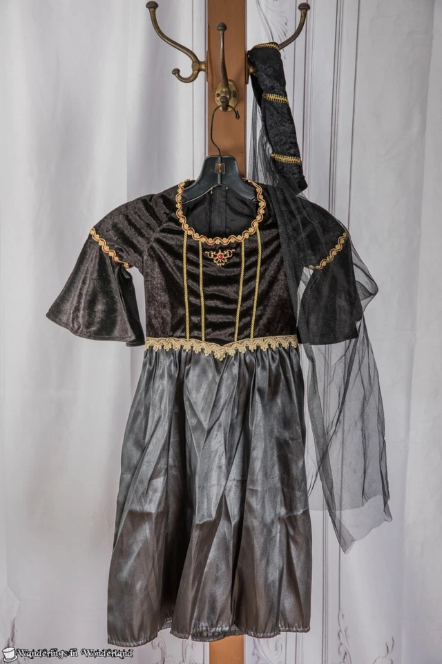 Disfraz de Doncella Avalon Niño Pequeño 5-6 Princesa Renacimiento Medieval Halloween Foto 1 de 3