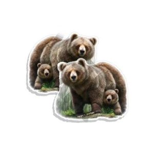 Paquete de 2 calcomanías adhesivas de vinilo Mamma Bear and Cub NATURALEZA Grizzly exterior C35004 - Imagen 1 de 3