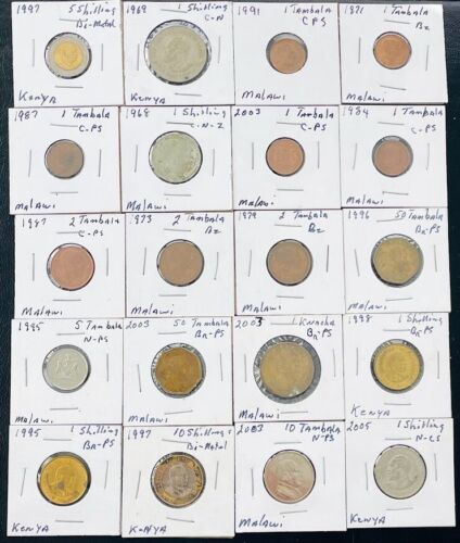 Africa Coin Lot of 20 African Coins Old Coin Shop Inventory Kenya Malawi