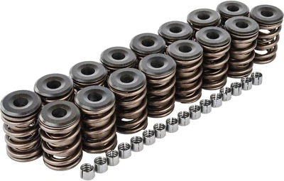 Pontiac 350 400 428 455 V8 Dual Valve Springs Set+Valve Locks/Keepers+Retainers - Image 1 of 4