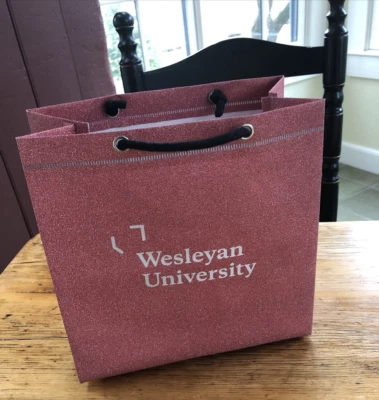 Wesleyan University Bolsa de Regalo Brillo, Forrada de Tela, Mango de Cuerda Negro Foto 1 de 4