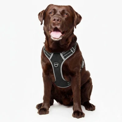 Best No Pull Dog Harness By Fur King - image 1 of 4