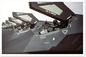 F-117 Stealth Fighters In Flight Line Operation Desert Storm 8 x 12 Photo - Picture 1 of 1