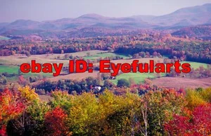 Nature Scenes Corel Royalty-Free Stock Photo CD-ROM Disk & USB - Picture 1 of 12