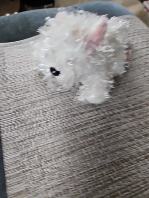 Webkinz Lil' Kinz White Terrier HS106 Pink Bow ,Pink Ears Realistic Black Nose  - Image 1 of 4