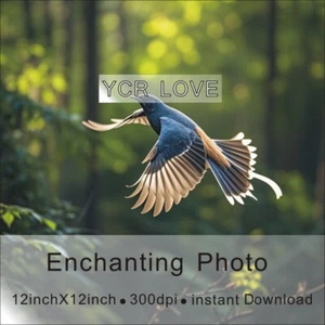 Digital Image Picture Photo Wallpaper Background Desktop Art Bird - Picture 1 of 1