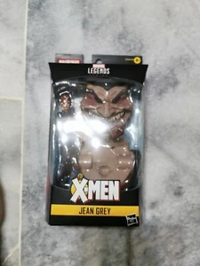 Marvel Legends X-Men Jean Grey - Picture 1 of 2