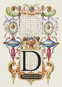 14037.Decor Poster.Room wall design.Vintage botanical calligraphy art.Flowers.D - Picture 1 of 1