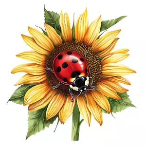Wandtattoo Aufkleber Marienkäfer mit Sonnenblume Wandaufkleber 18X18 cm Groß - Bild 1 von 1