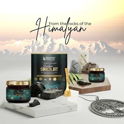 BHUMIJA LIFESCIENCES Bio Himalaya Shilajit Harz - extrem stark 20g, 66 Portionen aus Indien