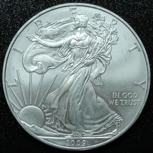 2009 American Silver Eagle $1 .999 Fine Silver Coin Marks/Spots - Picture 1 of 2