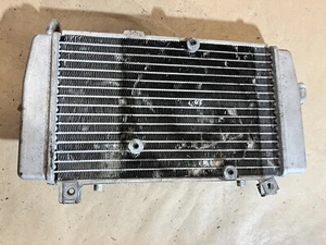 Kawasaki NINJA 125 Radiator 2019 - Imagen 1 de 5