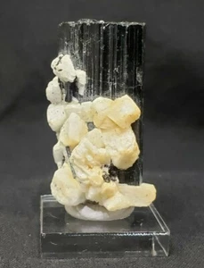 38mm TOURMALINE with QUARTZ and FELDSPAR from Stak Bala, Pakistan - Picture 1 of 8