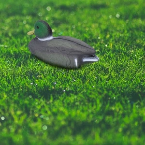 26x11.5cm Male Floating Duck Decoy Simulation Hunting Duck Garden Pool Yard TO - Picture 1 of 17