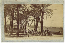 Alger Vue générale prise du jardin d'essai circa 1880 Photo CDV Algérie Neurdein