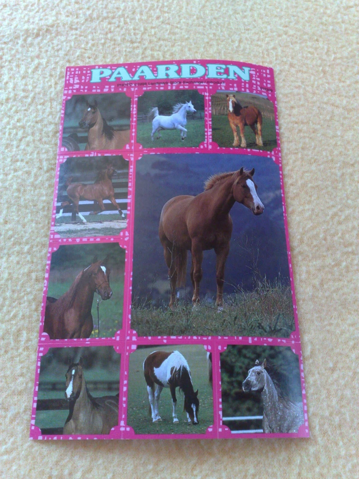 Sticker Sammelsticker Pferde - Bild 1 von 1