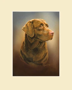 Original Chocolate Lab Painting by Robert J. May - Picture 1 of 1