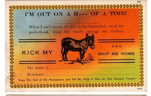 1930s Comic Postcard. I'm Out on a H-- of a Time! Kick My (Ass) and Send me Home - Picture 1 of 1