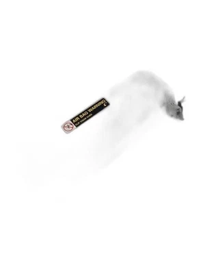 Parasol para pasajeros VIN K sedán de octavo dígito iluminado se adapta a 07-10 JETTA 1200254 Foto 1 de 4