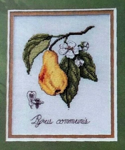 Kreuzstichmuster Botanical Serie GLORIOUS PEAR Fruchtblüte gelb grün - Bild 1 von 5