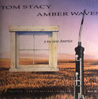 Amber Waves / Nu-View America, Mathes, Stacy - CD VERY GOOD DISC ONLY