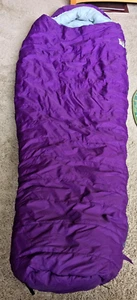 Vintage The North Face Sleeping Bag Bigfoot Regular w/ Red Carry Bag - Picture 1 of 7