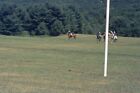 Polo Match In Manchester, Vermont 1983 35Mm Photo Slide #4