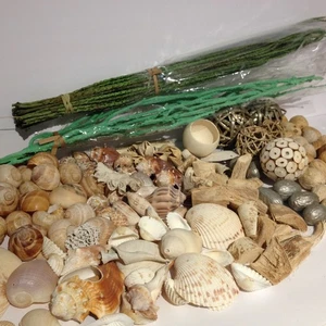4 Pfund Posten Muscheln Strand Treibholz Blumen Stöcke DEKO Posten Party Spirale Muschel ++ - Bild 1 von 22