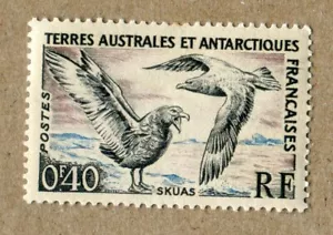 FRANCE ANTARTIC TERRITORIES, 1956 Skuas, POSTAGE STAMP #C - Picture 1 of 2
