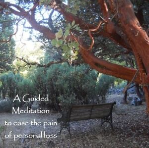 A Guided Meditation to Ease the Pain of Personal Loss ~Dr. Ginny Lucas, CD & mp3