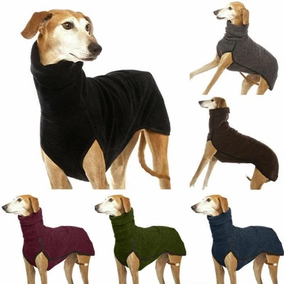 Hundepullover Winter Rollkragen Pulli Windhund Whippet Greyhound Galgo Klei W7X2 - Bild 1 von 4