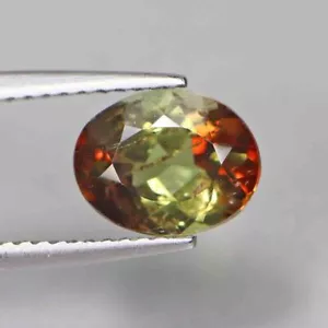 1.81 Cts Dream Collector Stone 100% Natural Unheated Bi-Color Andalusite_Brazil - Foto 1 di 5