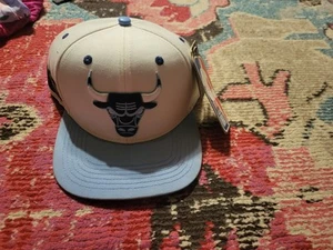Chicago bulls baseball hat cap NWD tags READ blue Sports NBA basketball adult - Picture 1 of 4