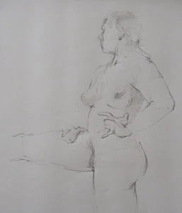 Hand Drawn Pencil Medium Life Drawing Study of a Female Nude in a Standing Pose - Picture 1 of 19