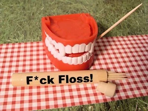 "F*CK FLOSS" Travel Toothpick Holder! NOVELTY GIFT (Dentist, Teeth, Joke, Gag) - Picture 1 of 4