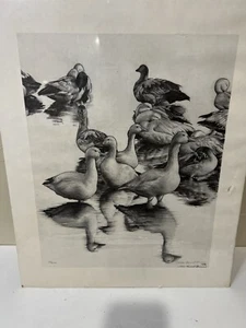 Vtg Joan Burnet Bruns Pencil Sketch. Ducks, Birds Still Life Sketch 54/200 - Picture 1 of 8