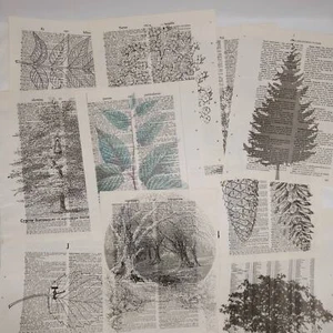 Tree Vintage Dictionary Prints, Flora Prints, Book Page Prints, Nature Decor - Picture 1 of 9