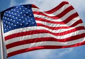 US amerikanische Flagge strapazierfähig Luxus bestickt Sterne genäht Streifen Ösen Nylon - Bild 1 von 9