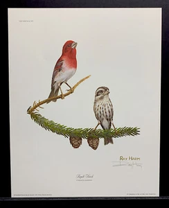 Ray Harm Limited Edition Hand Signed Print "Purple Finch” - Picture 1 of 1